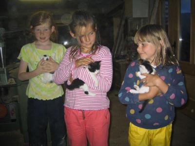 Klick f&uuml;r Originalgr&ouml;&szlig;e :image016.jpg